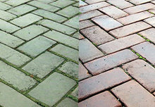 Load image into Gallery viewer, Everbuild Patio Wizard Concentrated Algae, Green Growth and Mould Killer,1 Litre