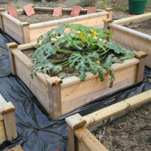 Load image into Gallery viewer, Yuzet Heavy Duty Weed Control Ground Cover Landscape Fabric Membrane 1m, 2m, 3m, 4m, 5m Wide