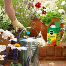 Load image into Gallery viewer, Miracle Gro All Purpose Soluble Plant Food 1kg + 20% Extra Free