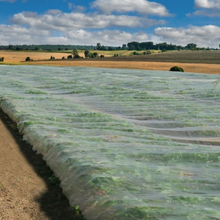 Load image into Gallery viewer, Insect Netting Garden Protection Vegetable Crop Plant Fine Mesh Bird