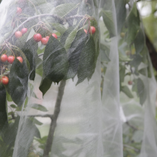 Load image into Gallery viewer, Insect Netting Garden Protection Vegetable Crop Plant Fine Mesh Bird