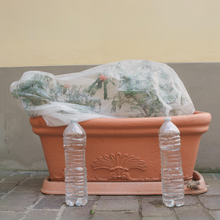 Load image into Gallery viewer, Yuzet Crop & Plant Frost Protection Warming Fleece Winter 17gsm 35gsm