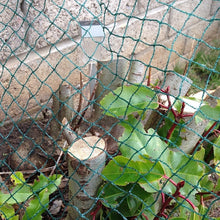 Load image into Gallery viewer, Yuzet Anti Bird Netting Plant Protection Fruit Veg Fish Pond Debris Garden Net
