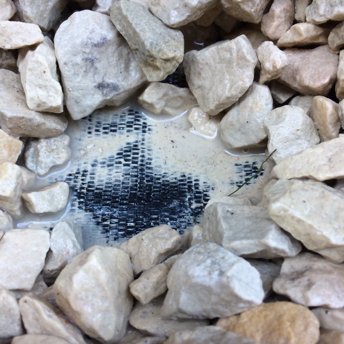 1m x 50m Yuzet Heavy Duty Weed Control Fabric Ground Cover with Free P