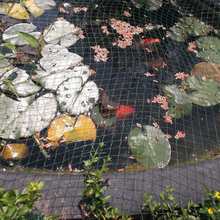 Load image into Gallery viewer, Yuzet Anti Bird Netting Plant Protection Fruit Veg Fish Pond Debris Garden Net
