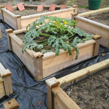 Load image into Gallery viewer, 1m x 50m Yuzet Heavy Duty Weed Control Fabric Ground Cover with Free Pegs