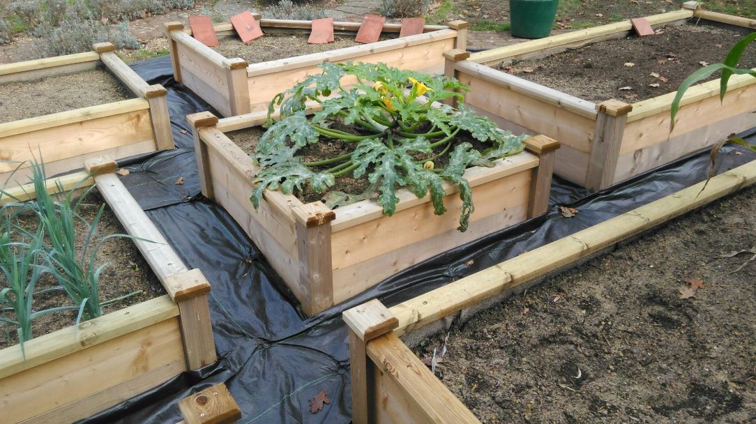 What weed control fabric do I need? – weedfabricdirect