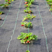 Load image into Gallery viewer, 1m x 50m Heavy Duty Woven Weed Control Fabric Landscape Membrane with Free Pegs
