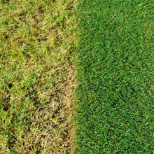 Load image into Gallery viewer, Miracle-Gro EverGreen Complete 4-in-1 Spreader, Lawn Food, Weed &amp; Moss Control 80m2

