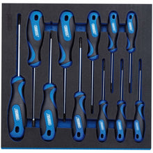 Load image into Gallery viewer, DRAPER 63403 - Draper TX-STAR&#174; Security Soft Grip Screwdriver Set in 1/2 Drawer EVA Insert Tray (11 Piece)

