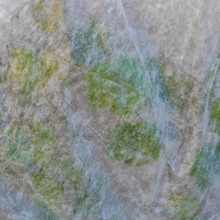 Load image into Gallery viewer, Yuzet Crop &amp; Plant Frost Protection Warming Fleece Winter 17gsm 35gsm
