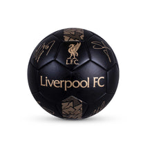 Load image into Gallery viewer, Team Merchandise Phantom Signature Football
