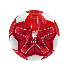 Load image into Gallery viewer, Team Merchandise 4inch Miniball
