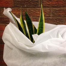 Load image into Gallery viewer, Yuzet Plant Protection Fleece Tube Garden Vegetable Tomato Frost Shrub 120cm x 5m
