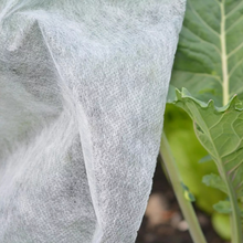 Load image into Gallery viewer, Yuzet Crop &amp; Plant Frost Protection Warming Fleece Winter 17gsm 35gsm
