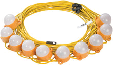 Load image into Gallery viewer, Defender 22m LED Encapsulated Festoon String Lights 50W 240V (E89817)
