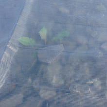 Load image into Gallery viewer, Yuzet Clear Heavy Duty Reinforced Waterproof Tarpaulin Cover Ground Sheet Stall

