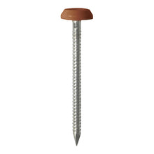 Load image into Gallery viewer, TIMCO Polymer Headed Nails A4 Stainless Steel Clay Brown -100 Nails, 50mm 65mm
