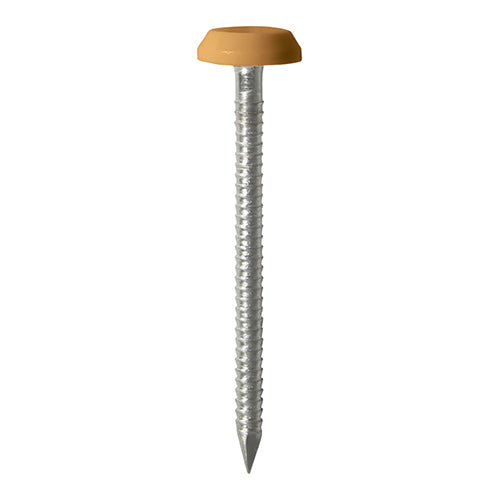 TIMCO Polymer Headed Nails A4 Stainless Steel Oak - 50mm Box OF 100 Pieces