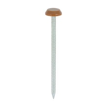 Load image into Gallery viewer, TIMCO Polymer Headed Nails A4 Stainless Steel Clay Brown -100 Nails, 50mm 65mm
