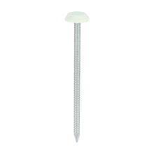 Load image into Gallery viewer, TIMCO Polymer Headed Nails A4 Stainless Steel Cream -100 Nails, 50mm 65mm
