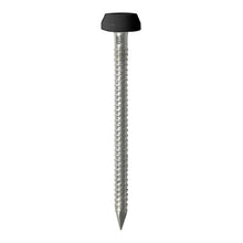Load image into Gallery viewer, TIMCO Polymer Headed Pins A4 Stainless Steel Black - 30mm &amp; 40mm

