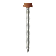 Load image into Gallery viewer, TIMCO Polymer Headed Pins A4 Stainless Steel Clay Brown -250 Pins, 30mm 40mm
