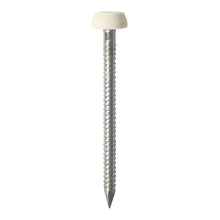 Load image into Gallery viewer, TIMCO Polymer Headed Pins A4 Stainless Steel Cream -250 Pins, 30mm 40mm
