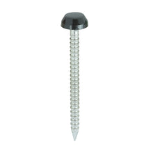 Load image into Gallery viewer, TIMCO Polymer Headed Pins A4 Stainless Steel Black - 30mm &amp; 40mm
