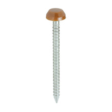 Load image into Gallery viewer, TIMCO Polymer Headed Pins A4 Stainless Steel Clay Brown -250 Pins, 30mm 40mm
