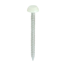Load image into Gallery viewer, TIMCO Polymer Headed Pins A4 Stainless Steel Cream -250 Pins, 30mm 40mm
