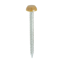 Load image into Gallery viewer, TIMCO Polymer Headed Pins A4 Stainless Steel Oak -250 Pins, 30mm 40mm
