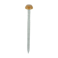 Load image into Gallery viewer, TIMCO Polymer Headed Pins A4 Stainless Steel Oak -250 Pins, 30mm 40mm
