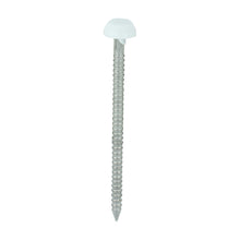 Load image into Gallery viewer, TIMCO Polymer Headed Pins A4 Stainless Steel White - 25mm to 40mm
