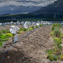 Load image into Gallery viewer, Yuzet Frost Protection Fleece, Cold Winter Plant Crop Tree Shrub Protection Tubes 60cm x 5m
