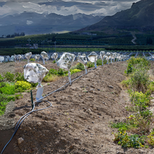 Load image into Gallery viewer, Yuzet Plant Protection Fleece Tube Garden Vegetable Tomato Frost Shrub 120cm x 5m
