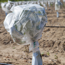Load image into Gallery viewer, Yuzet Plant Protection Fleece Tube Garden Vegetable Tomato Frost Shrub 120cm x 5m
