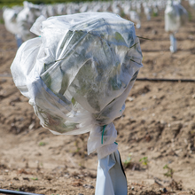 Load image into Gallery viewer, Yuzet Frost Protection Fleece, Cold Winter Plant Crop Tree Shrub Protection Tubes 120cm x 5m
