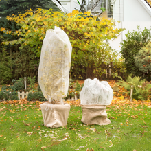Load image into Gallery viewer, Yuzet Plant Protection Fleece Tube Garden Vegetable Tomato Frost Shrub 120cm x 5m

