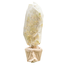 Load image into Gallery viewer, Yuzet Plant Protection Fleece Tube Garden Vegetable Tomato Frost Shrub 80cm x 5m
