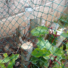 Load image into Gallery viewer, Yuzet Anti Bird Netting Plant Protection Fruit Veg Fish Pond Debris Garden Net
